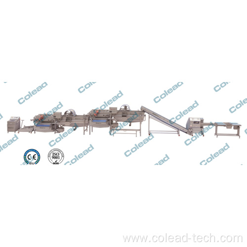 Ozone sterilization machine for food processing line